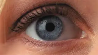 No Copyright Videos -Eye - Video Footage of Beautiful Eye Free Content - No Copyright Zone