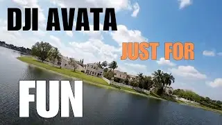 DJI Avata - Just For Fun!
