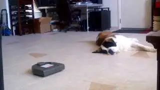 Robot Vacuum - neato