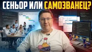 🚀 Можно ли стать сеньором в 24 года? Разрушаем стереотипы в IT.