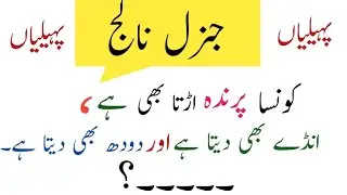 New Riddles in urdu 2023/Riddles in urdu with answers 2023/New Paheliyan in urdu 2023