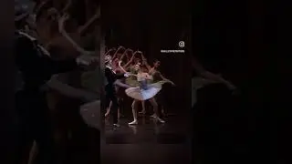 Baby Svetlana Zakharova at 19 years old as the Queen of Dryads in Mariinsky's "Don Quixote"
