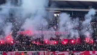 Delije na Zvezda - Čukarički 3:0 | Fedayn transparent | 2