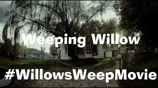 Weeping Willow Tree Cursed FEATURE FILM