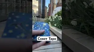 Совет Таро Ksuxa Znaet