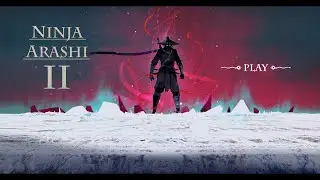 ⚔NINJA ARASHI 2 STAGE 8⚔