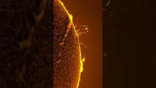 Solar flares are explosions on the Sun which emit radiation into space ☀️ #Shorts #Science #Space