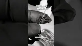 Пирсинг брови. Проколоть бровь вместе с украшением. Пирсинг на лице. #пирсинг #evotattoo #tattoos