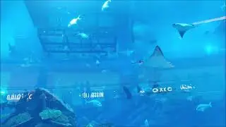 Dubai Mall