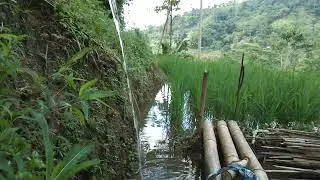 INDAHNYA KAMPUNGKU