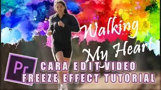 How to Edit Video FREEZE FRAME EFFECT / Background paint streaks in Adobe Premier Pro