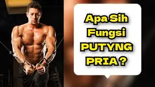 PUTING pada PRIA apakah ada Fungsinya?
