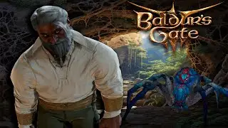 Как дворф ПАУЧИХЕ лапы сломал - Baldur's Gate 3