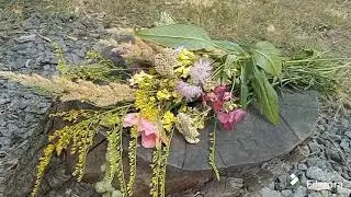 На берегу асмр