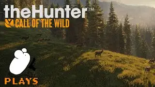 theHunter: Call of the Wild - Stream Highlights #7