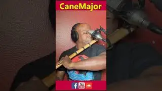 A flute solo with the MXL V88 microphone