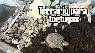 Como hacer Terrario para tortugas // Casa para tortugas