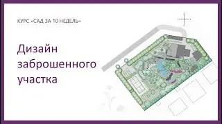 Разбор дизайна заброшенного участка
