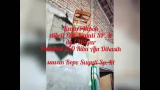 Kenari gacor 1 mnt tanpa henti