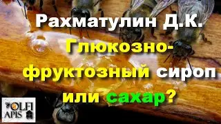 #Рахматулин