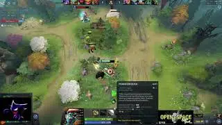 Arteezy 2021 Dota2 Settings