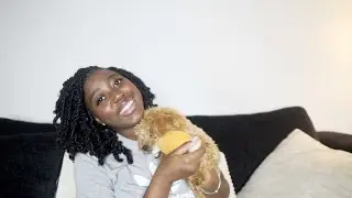 Belle is 6 months: Toy Poodle Update