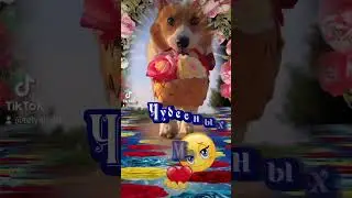 Отличного денёчка дня самой прекрасной женщины ❤️для тебя ❤️