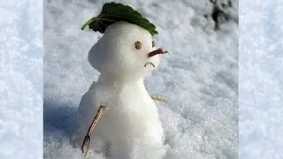 ЗИМА НЕ ДАРОМ ЗЛИТСЯ...ФЕДОР ТЮТЧЕВ 1830 г