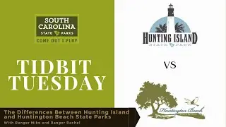 The Differences Between Hunting Island and Huntington Beach State Parks