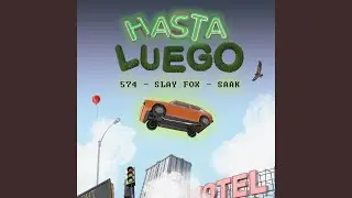 Hasta Luego