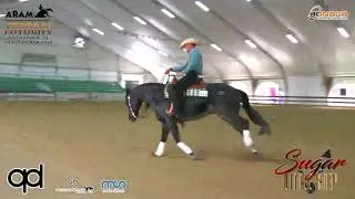 4 tappa ARAM 2020 - SICURO NICO & CAPTAIN SPOOK score 73,5