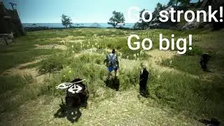 BDO || QUICK SIMPLE SUCCESSION ZERKER GUIDE || DONKINGS