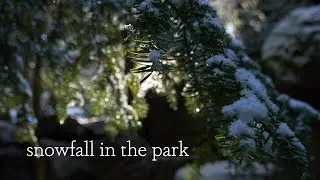 Snowfall in the Park - slow motion winter film