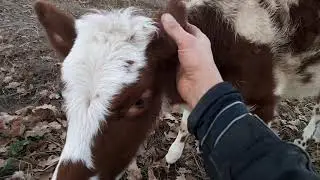 Выхожу на связь.Понемногу обо всём.