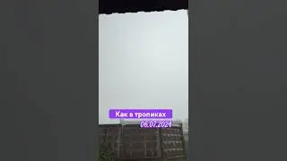 Гроза #москва #shortvideo #гроза #летовмоскве #лето2024 #тропический