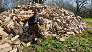 Процесс борьбы со стрессом.