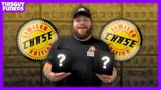 I Found TWO CHASES?! (Funko Pop Hunting)