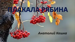 Плакала рябина     Анатолий Кашка