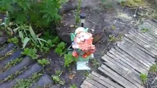 Н. д. 11 червня 2018 р. 2ч.
