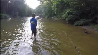 2019 8 Creek Fishing
