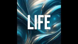 DJ Collins  -  LIFE  -  Official Video