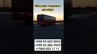 тошкент Москва Узбекистан Автобус 