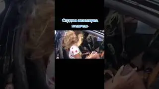 Студия Автозвука Медведь Валит🔊🎶💨 