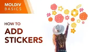 How to Add Stickers | MOLDIV Basics