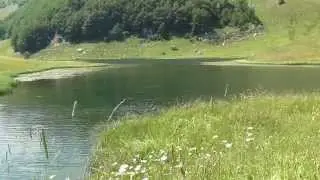 Zelengora - Jugovo i Orlovačko jezero 19.7.2015