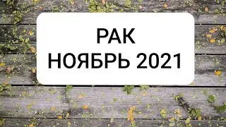 РАК. НОЯБРЬ 2021 г.