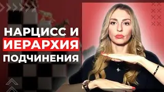 Иерархия подчинения в отношениях с Нарциссом.