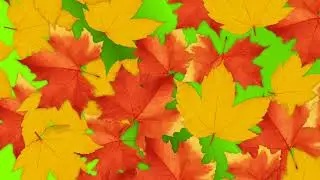 Autumn Season Slideshow Template | Awesome Transition Effects
