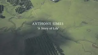 Anthony Simes 'A Story of Life'
