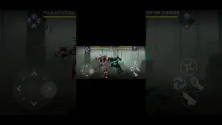 This is why Stability needs to be removed | Shadow Fight 3